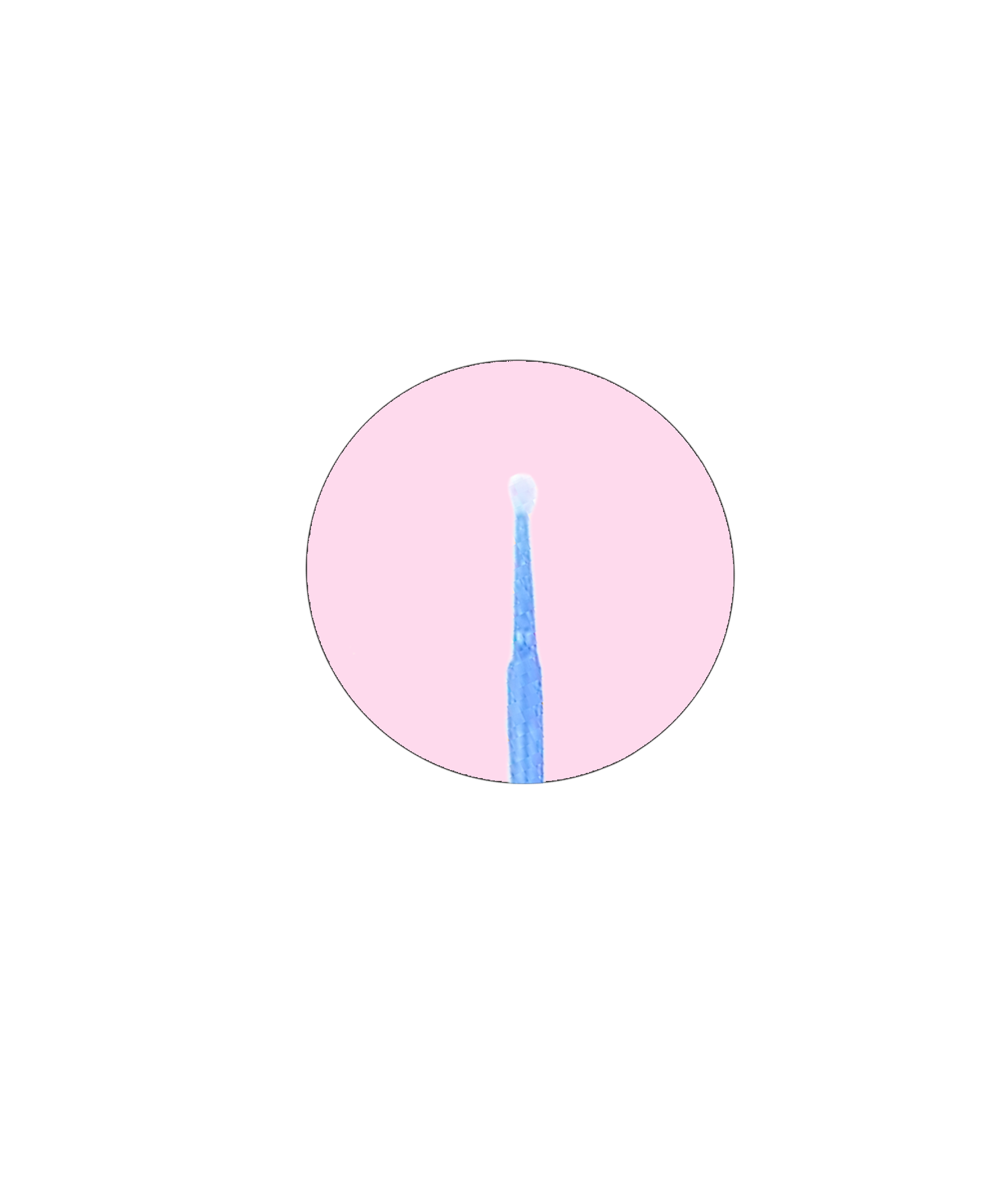 Noemi - Microbrush - Blau in Tube